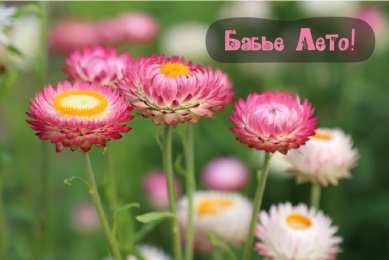 Бабье лето Открытки с поздравлениями на Бабье Лето. С Бабьим Летом! Праздник.