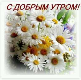 Доброго утра Открытки с надписью - доброе утро.  Открытки с добрым утром.