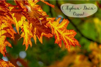 Открытки С началом осени Открытки с поздравлениями с началом осени. Начало осени открытки. Открытки с поздравлениями с началом осени. Начало осени открытки. Красивые открытки смотреть онлайн бесплатно. Поздравления с началом осени для родных и близких.