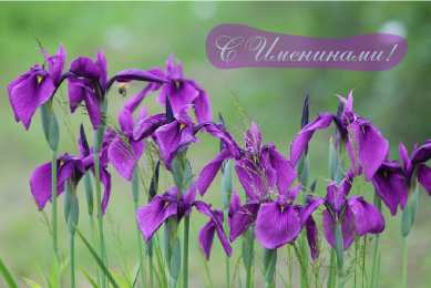 Открытки Именины Открытки на Именины. Поздравления с Именинами в открытках. Именины. Открытки на Именины. Поздравления с Именинами в открытках. Именины. Красивые открытки смотреть онлайн бесплатно. Поздравить с Именинами родных. День Именин поздравление.