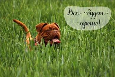 Открытки Всё будет хорошо! Открытки - всё будет хорошо! Приободрить словами - всё будет хорошо! Открытки - всё будет хорошо! Приободрить словами - всё будет хорошо! Красивые открытки смотреть онлайн бесплатно. Поднять настроение родным и близким. Всё будет хорошо!