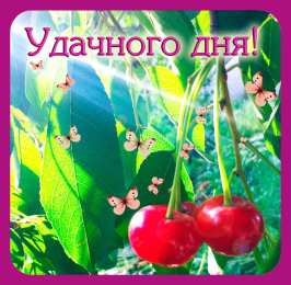 Удачного дня Открытки на каждый день - удачного дня! Открытки с пожеланием удачного дня.