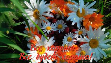 Открытки Всё будет хорошо! Открытки - всё будет хорошо! Приободрить словами - всё будет хорошо! Открытки - всё будет хорошо! Приободрить словами - всё будет хорошо! Красивые открытки смотреть онлайн бесплатно. Поднять настроение родным и близким. Всё будет хорошо!