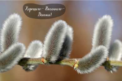 Открытки Весна Открытки на весну. Весенние открытки. Весенние пожелания на каждый день. Открытки на весну. Весенние открытки. Весенние пожелания на каждый день. Красивые открытки смотреть онлайн бесплатно. Весеннее настроение и пожелание хорошего дня.