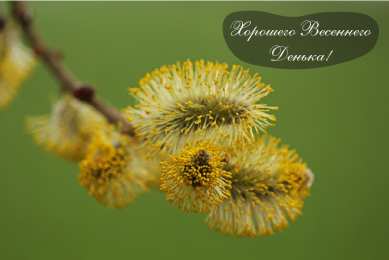 Открытки Весна Открытки на весну. Весенние открытки. Весенние пожелания на каждый день. Открытки на весну. Весенние открытки. Весенние пожелания на каждый день. Красивые открытки смотреть онлайн бесплатно. Весеннее настроение и пожелание хорошего дня.