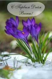 Открытки Первый день весны Открытки с поздравлениями с первым днём весны. Первый день весны. Открытки с поздравлениями с первым днём весны. Первый день весны. Красивые открытки смотреть онлайн бесплатно. Открытки с первым днем весны. Приятные пожелания.