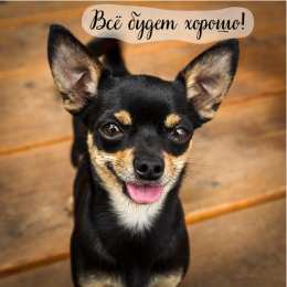 Открытки Всё будет хорошо! Открытки - всё будет хорошо! Приободрить словами - всё будет хорошо! Открытки - всё будет хорошо! Приободрить словами - всё будет хорошо! Красивые открытки смотреть онлайн бесплатно. Поднять настроение родным и близким. Всё будет хорошо!