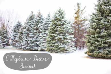 Открытки С первым днем зимы Открытки с первым днём зимы..  Поздравления с началом зимы.  Открытки с первым днём зимы..  Поздравления с началом зимы. Красивые открытки смотреть онлайн бесплатно. Открытки с поздравлениями с первым днем зимы. С началом зимы.