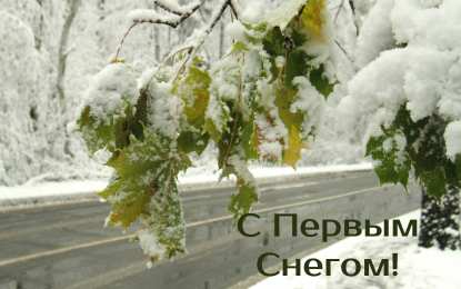 Открытки Первый снег Открытки к первому снегу. Поздравления с первым выпавшим снегом. Открытки к первому снегу. Поздравления с первым выпавшим снегом. Красивые открытки смотреть онлайн бесплатно. Первый снег поздравления для родных и близких. С первым снегом!