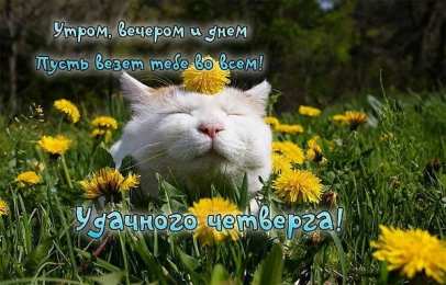 Удачного четверга Открытки с пожеланием удачного четверга. Открытки на четверг.