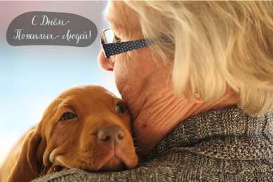 Открытки День пожилых людей Открытки с поздравлениями на День пожилых людей. С Днём пожилых людей! Открытки с поздравлениями на День пожилых людей. С Днём пожилых людей! Красивые открытки смотреть онлайн бесплатно. Поздравления С Днём Пожилых Людей. Поздравить бабушку и дедушку.