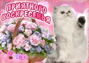 Удачного воскресенья Открытки с пожеланием удачного воскресенья. Открытки на воскресенье.