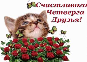 Удачного четверга Открытки с пожеланием удачного четверга. Открытки на четверг.