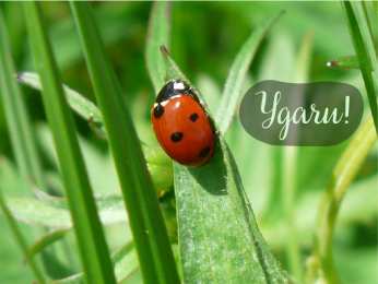 Открытки Удачи Открытки с пожеланиями удачи. Символы удачи в открытках. Желаю удачи! Открытки с пожеланиями удачи. Символы удачи в открытках. Желаю удачи! Красивые открытки смотреть онлайн бесплатно. Открытки на удачу для родных и близких. Удачи во всём!