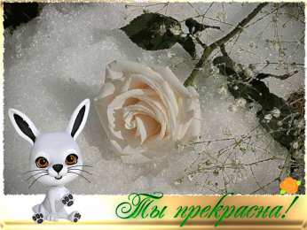 Ты прекрасна Открытки с цветами и надписью - ты прекрасна! Открытки для женщин.