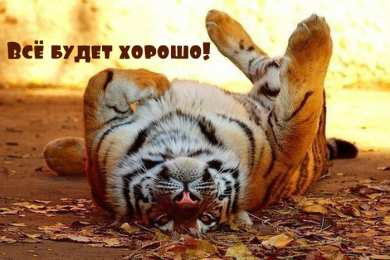 Открытки Всё будет хорошо! Открытки - всё будет хорошо! Приободрить словами - всё будет хорошо!  Открытки - всё будет хорошо! Приободрить словами - всё будет хорошо! Красивые открытки смотреть онлайн бесплатно. Поднять настроение родным и близким. Всё будет хорошо!