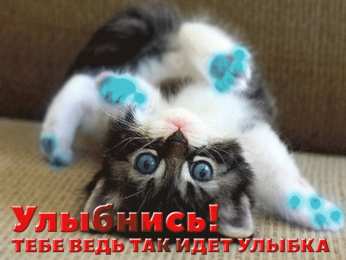 Открытки Улыбнись Открытки для улыбки. Пожелания хорошего настроения и улыбок. Открытки для улыбки. Пожелания хорошего настроения и улыбок. Красивые открытки смотреть онлайн бесплатно. Пожелания улыбок для родных и близких. Улыбнись миру!!