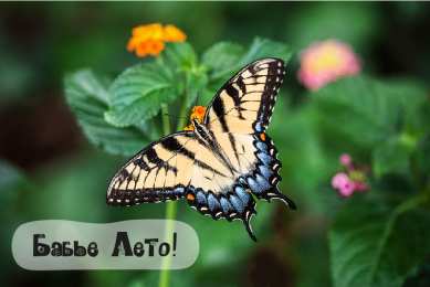 Бабье лето Открытки с поздравлениями на Бабье Лето. С Бабьим Летом! Праздник.