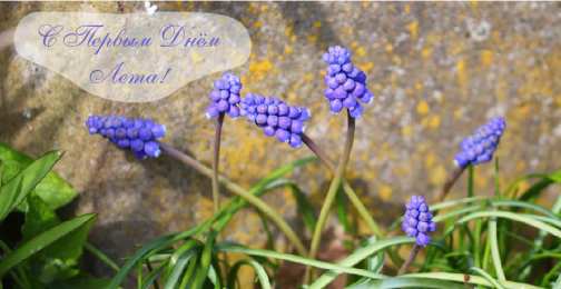 Открытки Первый день лета Открытки с поздравлениями с первым днём лета. Первый день лета. Открытки с поздравлениями с первым днём лета. Первый день лета. Красивые открытки смотреть онлайн бесплатно. Открытки к первому дню лета. Пожелания хорошего лета.