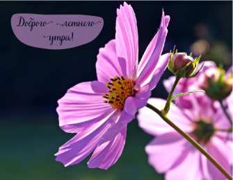 Лето Открытки на лето. Пожелания хороших летних дней. Летние открытки.