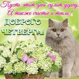 Удачного четверга Открытки с пожеланием удачного четверга. Открытки на четверг.