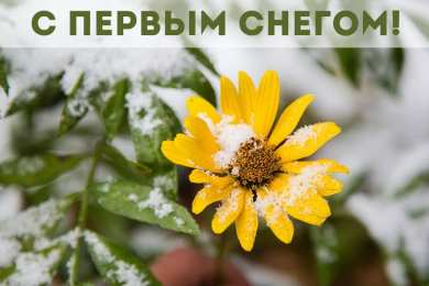 Открытки Первый снег Открытки к первому снегу. Поздравления с первым выпавшим снегом. Открытки к первому снегу. Поздравления с первым выпавшим снегом. Красивые открытки смотреть онлайн бесплатно. Первый снег поздравления для родных и близких. С первым снегом!