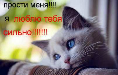 Открытки с извинениями любимым Открытки с извинениями для любимых. Просьба о прощении любимого.