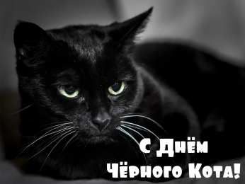 День черного кота Открытки с поздравлениями ко Дню чёрного кота. С Днём чёрного кота!