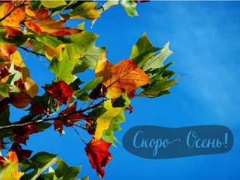 Открытки Скоро осень Открытки в преддверии осени. Скоро осень поздравления. Осень близко. Открытки в преддверии осени. Скоро осень поздравления. Осень близко. Красивые открытки смотреть онлайн бесплатно. Скоро осень открытки в преддверии осени. Осень.