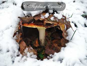 Открытки Первый снег Открытки к первому снегу. Поздравления с первым выпавшим снегом. Открытки к первому снегу. Поздравления с первым выпавшим снегом. Красивые открытки смотреть онлайн бесплатно. Первый снег поздравления для родных и близких. С первым снегом!