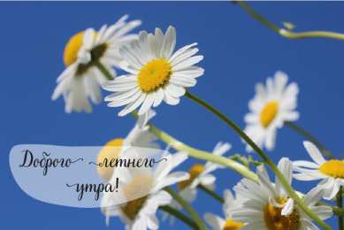 Лето Открытки на лето. Пожелания хороших летних дней. Летние открытки.
