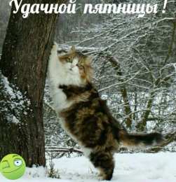 Удачной пятницы Открытки с пожеланием удачной пятницы. Открытки на пятницу. 