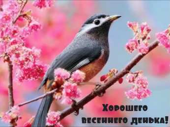 Открытки Весна Открытки на весну. Весенние открытки. Весенние пожелания на каждый день. Открытки на весну. Весенние открытки. Весенние пожелания на каждый день. Красивые открытки смотреть онлайн бесплатно. Весеннее настроение и пожелание хорошего дня.