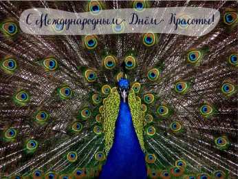 Открытки С международным Днём красоты Поздравления с международным Днём Красоты. С Днём Красоты!!! Поздравления с международным Днём Красоты. С Днём Красоты!!! Красивые открытки смотреть онлайн бесплатно. Открытки с поздравлениями с международным Днём Красоты.