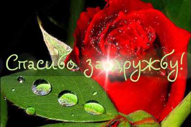 Спасибо за дружбу Открытки с любовью для друзей. Открытки другу и подруге, друзьям.