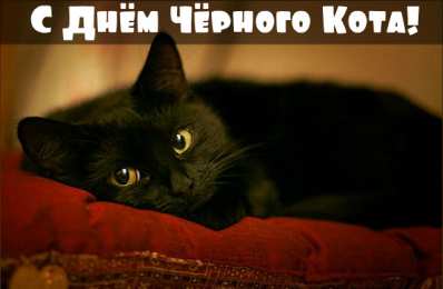 День черного кота Открытки с поздравлениями ко Дню чёрного кота. С Днём чёрного кота!