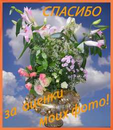 Открытки Оценки Открытки с положительными оценками. Открытки с оценками (молодец, красиво). Открытки с положительными оценками. Открытки с оценками (молодец, красиво). Красивые открытки смотреть онлайн бесплатно. Положительные оценки - красавица, молодец, мне нравится.