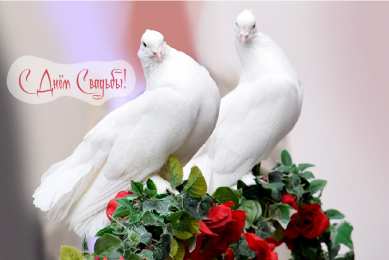 С Днём Свадьбы Открытки на День Свадьбы. Поздравления С Днём Свадьбы молодоженам.