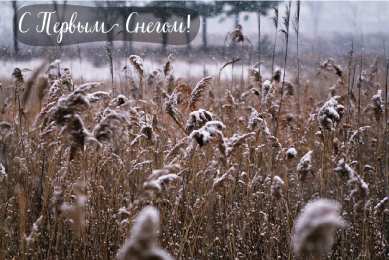 Открытки Первый снег Открытки к первому снегу. Поздравления с первым выпавшим снегом. Открытки к первому снегу. Поздравления с первым выпавшим снегом. Красивые открытки смотреть онлайн бесплатно. Первый снег поздравления для родных и близких. С первым снегом!
