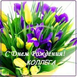Открытки С Днём рождения коллеге Открытки с поздравлением на День Рождения коллеге. Открытки коллеге. Открытки с поздравлением на День Рождения коллеге. Открытки коллеге. С Днём Рождения коллега! Красивые открытки смотреть онлайн бесплатно.  Поздравить коллегу. 