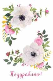 Поздравляю Открытки с цветами и надписью - поздравляю. Открытки для женщин.