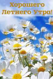Лето Открытки на лето. Пожелания хороших летних дней. Летние открытки.