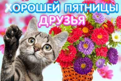 Удачной пятницы Открытки с пожеланием удачной пятницы. Открытки на пятницу. 