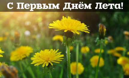 Открытки Первый день лета Открытки с поздравлениями с первым днём лета. Первый день лета. Открытки с поздравлениями с первым днём лета. Первый день лета. Красивые открытки смотреть онлайн бесплатно. Открытки к первому дню лета. Пожелания хорошего лета.