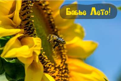 Бабье лето Открытки с поздравлениями на Бабье Лето. С Бабьим Летом! Праздник.