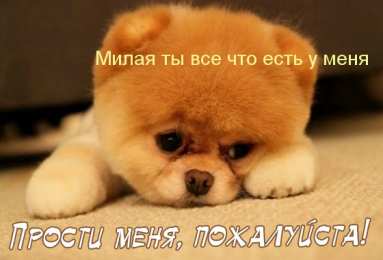 Открытки с извинениями любимым Открытки с извинениями для любимых. Просьба о прощении любимого.