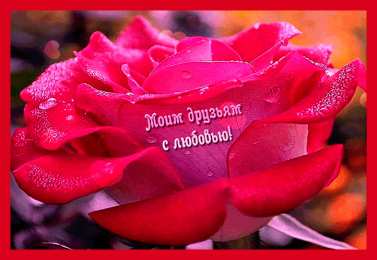 С любовью друзьям Открытки с любовью для друзей. Открытки другу и подруге, друзьям.