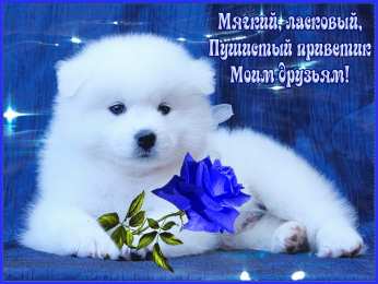 Привет Открытки с приветствием. Открытки с надписью - привет! Приветствие.