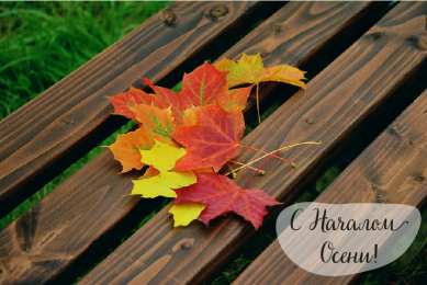 Открытки С началом осени Открытки с поздравлениями с началом осени. Начало осени открытки. Открытки с поздравлениями с началом осени. Начало осени открытки. Красивые открытки смотреть онлайн бесплатно. Поздравления с началом осени для родных и близких.