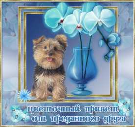 Привет другу/подруге Открытки с приветствием друзей. Открытки для друга и подруги.